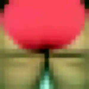 Profil de Cindy à Lodève (37 ans) - rencontre sexe discret