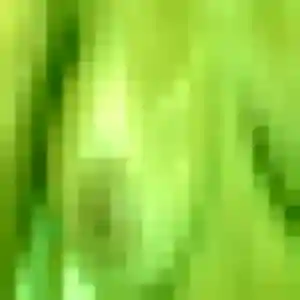 Laure, 24 ans, dispo pour rencontre sexe à Loriol-sur-Drôme