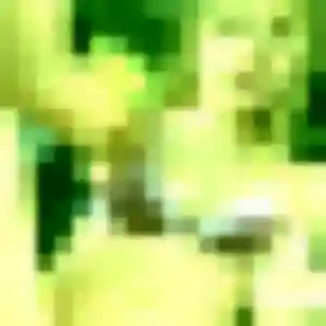 Photo exclusive de Candice, 32 ans à Luisant - rencontre coquine