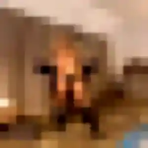 Profil de Emmanuelle à Lunel (22 ans) - rencontre sexe discret