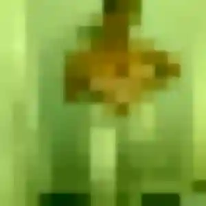 Yasmina, 29 ans, connectée à Lys-lez-Lannoy pour un rencontre sexe