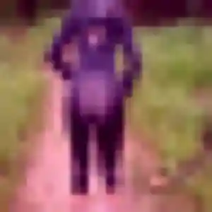 Garance, 44 ans, cherche un rencontre sexe à Marquette-lez-Lille