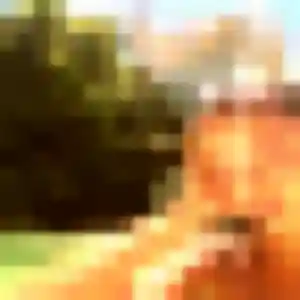 Iris, 41 ans, cherche un rencontre sexe à Mauges-sur-Loire