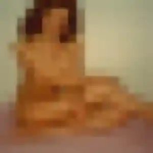 Photo de Elodie à Melle (19 ans) - rencontre sexe gratuit
