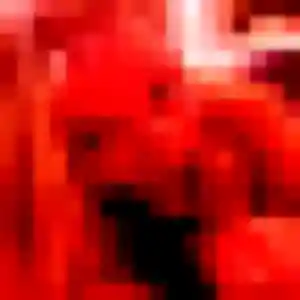 Photo de Pascale à Merville (30 ans) - rencontre sexe gratuit