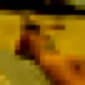 Photo de Gwenaelle à Mesnils-sur-Iton (37 ans) - rencontre sexe anonyme