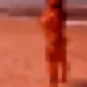 Profil de Marie-Laure à Meyreuil (41 ans) - rencontre sexe gratuit
