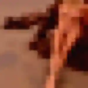 Hajar, 22 ans, dispo pour rencontre sexe à Missillac