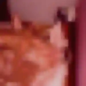 Sofia, 24 ans, disponible à Mons-en-Barœul pour un rencontre sexe