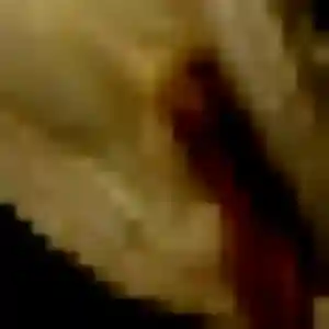 Flavie, femme de 22 ans propose rencontre sexe à Moret-Loing-et-Orvanne