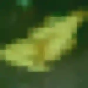 Sophie, 38 ans, en ligne à Morlaix pour un rencontre sexe