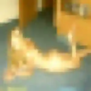 Photo de Christelle à Morteau (32 ans) - rencontre sexe discret