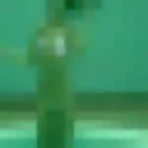 Amel (41 ans) à Nantes propose un rencontre sexe rapidement
