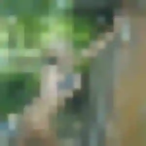 Profil de Sabrina à Nègrepelisse (32 ans) - rencontre sexe discret