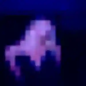 Photo privée de Soraya, 32 ans à Neuilly-sur-Seine - rencontre sans lendemain