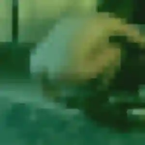 Laura, 33 ans, en ligne à Nogent-sur-Marne pour un rencontre sexe