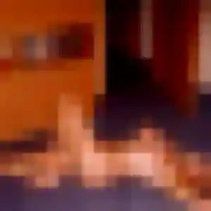Soraya, 24 ans, disponible à Octeville-sur-Mer pour une rencontre coquine