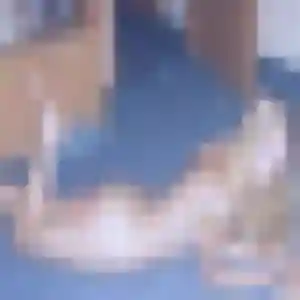 Karima, 21 ans, veut un rencontre sexe à Palaiseau