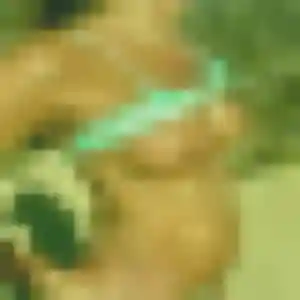 Rania (38 ans) à Pernes-les-Fontaines cherche une rencontre rapidement