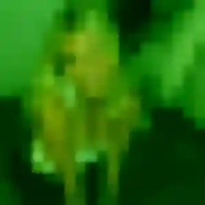Armelle (37 ans) à Pleurtuit propose un rencontre sexe ce soir