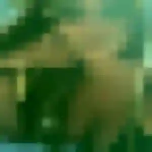 Photo exclusive de Violette, 27 ans à Pointe-à-Pitre - rencontre coquine