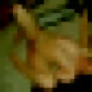 Kenza, 27 ans, en ligne à Pont-Sainte-Marie pour un rencontre sexe