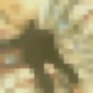 Photo de Eglantine à Remire-Montjoly (38 ans) - rencontre sexe anonyme