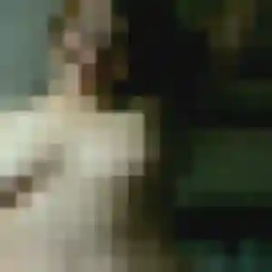 Marie-Jose, femme de 43 ans veut rencontre sexe à Rennes