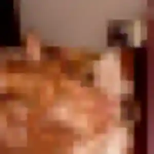 Chiara (33 ans) à Riedisheim attend un rencontre sexe rapidement
