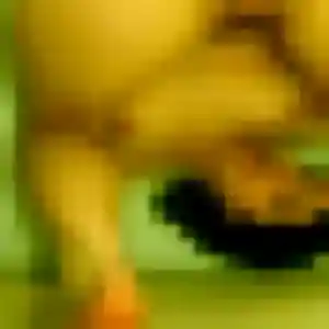 Nicole, fille de 25 ans veut rencontre sexe à Rosheim