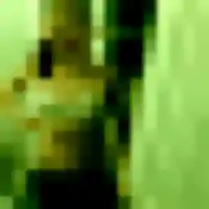 Photo de Hermine à Sainghin-en-Weppes (30 ans) - rencontre sexe anonyme