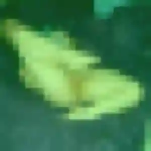 Alessandra, 35 ans, dispo pour rencontre sexe à Saint-Chamas