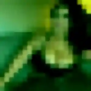 Gladys, 30 ans, cherche un rencontre sexe à Saint-Hilaire-de-Riez