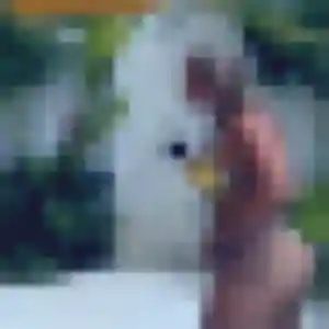 Yasmine, femme de 29 ans veut rencontre sexe à Saint-Jacques-de-la-Lande