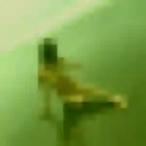 Nina (43 ans) à Saint-Mandrier-sur-Mer attend une rencontre rapidement