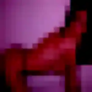 Sylvie, femme de 19 ans propose rencontre sexe à Saint-Maximin-la-Sainte-Baume