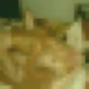 Lily, 24 ans, dispo pour rencontre sexe à Saint-Pée-sur-Nivelle