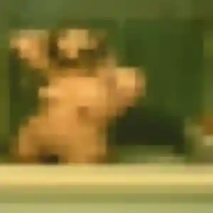 Photo privée de Ines, 34 ans à Saint-Priest-en-Jarez - plan discret