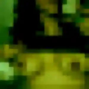 Photo de Bertrane à Saint-Thibault-des-Vignes (24 ans) - rencontre sexe anonyme