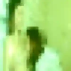 Naomi, femme de 30 ans propose rencontre sexe à Sautron