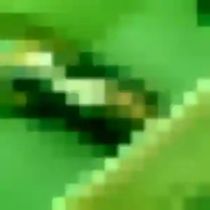 Photo exclusive de Kawtar, 44 ans à Schœlcher - rencontre coquine