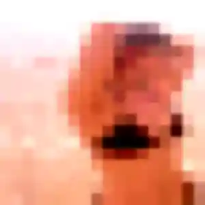 Photo de Fabienne à Schweighouse-sur-Moder (27 ans) - rencontre sexe anonyme