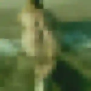 Photo exclusive de Romane, 33 ans à Souppes-sur-Loing - plan discret