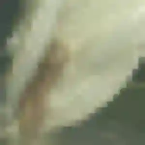 Profil de Margot à Talence (37 ans) - rencontre sexe discret