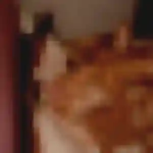 Rejoins Marie-Cecile, 20 ans à Tarascon en privé