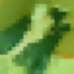 Fleur (44 ans) à Tignieu-Jameyzieu cherche un rencontre sexe aujourd'hui