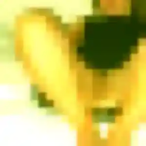 Wanda, 32 ans, dispo pour rencontre sexe à Tournon-sur-Rhône