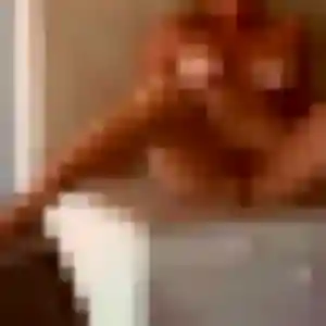 Charmante Cindy, 29 ans à Trégunc - la contacter