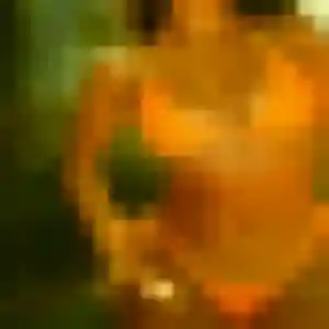 Profil de Marie-France à Valence (33 ans) - rencontre sexe anonyme