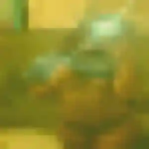Perrine, femme de 24 ans cherche rencontre sexe à Valognes